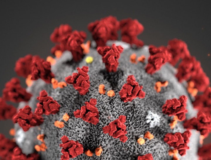 coronavirus picture